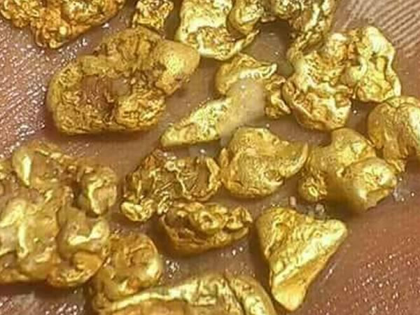 Sankara Gold Ach Teur Et Vendeur D Or Agr En C Te D Ivoire